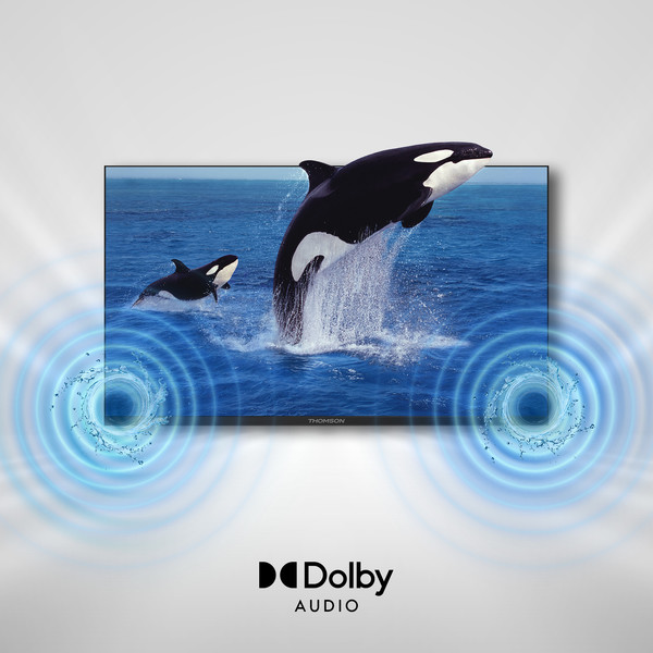 DOLBY AUDIO