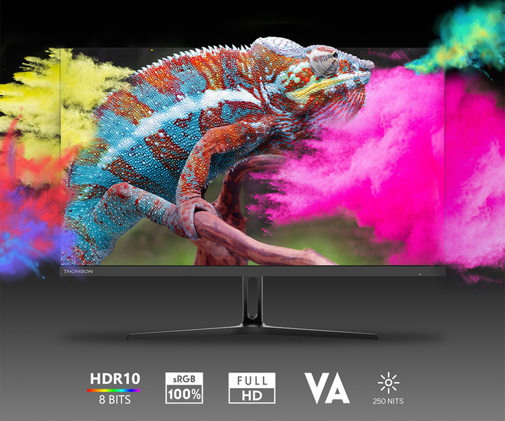 Thomson MONITOR 24“ Full HD