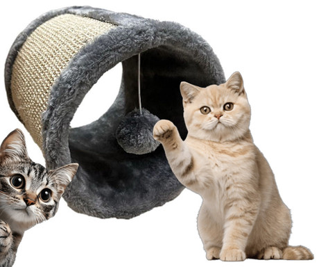 Pet Toys praskalnik za mačke, tunel, igrača, žoga, 21x19cm