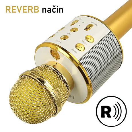EOL - FOREVER BMS-300 Mikrofon & Zvočnik, Bluetooth, USB, microSD, AUX-in, ECHO način, modulacija glasu, KARAOKE, zlat