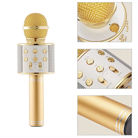 EOL - FOREVER BMS-300 Mikrofon & Zvočnik, Bluetooth, USB, microSD, AUX-in, ECHO način, modulacija glasu, KARAOKE, zlat
