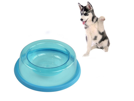 EOL - Posoda za vodo / hrano, za mačke ali pse, 150 ml, modra
