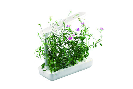 EOL - PLATINET pametni cvetlični lonček Smart Garden 9