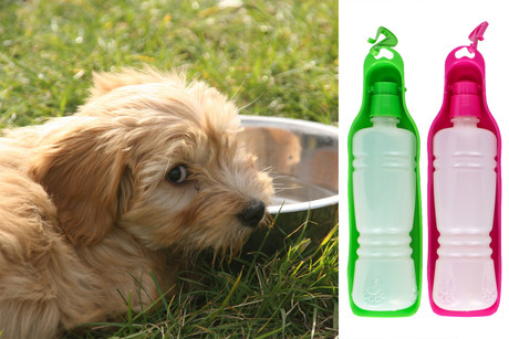 EOL - Prenosna flaška za pse, 2v1, flaška + skodelica, 450ml, zelena