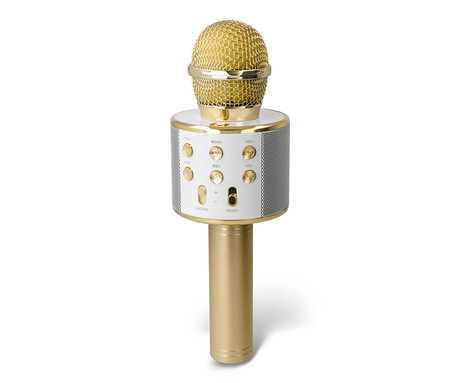 FOREVER BMS-300 LITE mikrofon & zvočnik, KARAOKE, Bluetooth, microSD, AUX, modulacija glasu, polnilna baterija, zlat (Honey Gold)