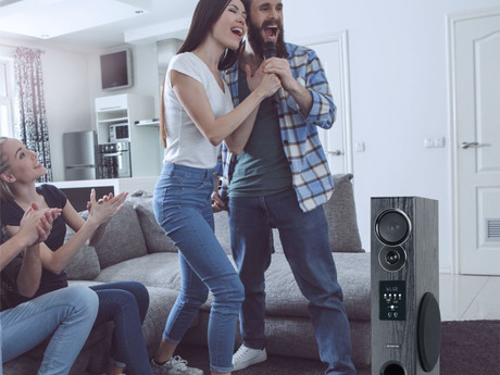 MANTA SPK0801X160D TALOS Hi-Fi zvočni sistem, KARAOKE, STEREO zvok, Bluetooth 5.0, HDMI ARC, FM Radio, USB / microSD / 2x MIC-in, + daljinski upravljalnik, lesen, črn