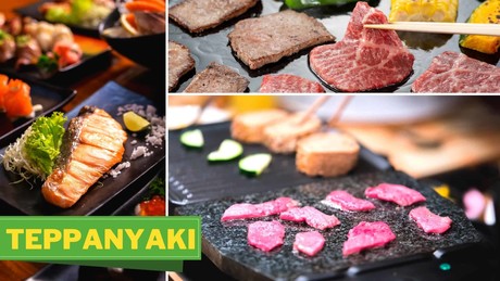 ALPINA Teppanyaki GRILL električna žar plošča, 1800W, 70x23cm