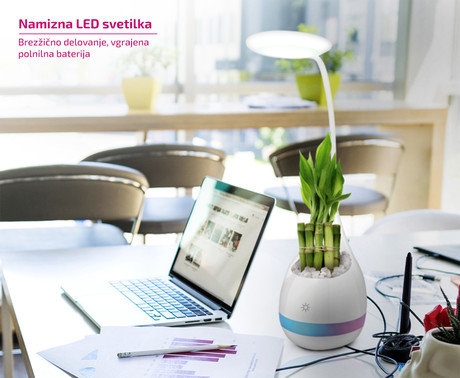 EOL - PLATINET PDL4R namizna + nočna svetilka LED, vgrajena baterija, na dotik, bela