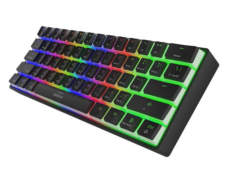 GENESIS THOR 660 gaming tipkovnica, mehanska, žična USB Type-C / brezžična Bluetooth, RGB LED osvetlitev, Anti-Ghosting, F1 - F12, aplikacija, črna