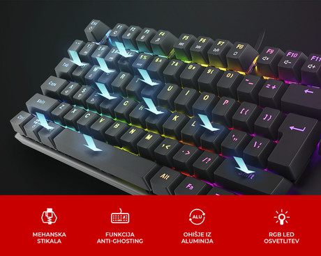 GENESIS THOR 303 TKL gaming tipkovnica, mehanska, RGB LED osvetlitev, Anti-Ghosting, F1 - F12, aplikacija, črna