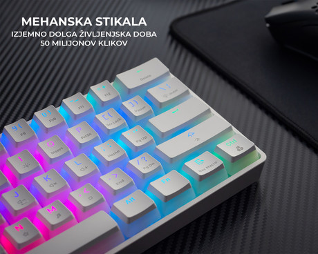 GENESIS THOR 660 gaming tipkovnica, mehanska, žična USB Type-C / brezžična Bluetooth, RGB LED osvetlitev, Anti-Ghosting, F1 - F12, aplikacija, bela