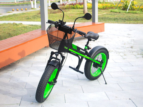 Električno kolo/skiro MANTA MES2002N Flinstone FAT, 350W motor, 20" pnevmatike, do 20km/h, domet 50km, do 120kg, LED osvetlitev, vzmetenje, črno-zelen