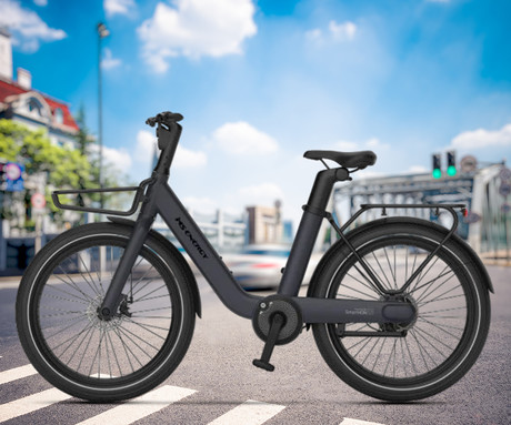 MS ENERGY CITYZEN C102 električno kolo, cestno / mestno, 24 x 3", 250W motor, 36V 9.6Ah 345Wh baterija, do 70km, mehanske disk zavore, vzmetne vilice, LED zaslon, sivo
