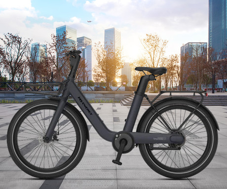 MS ENERGY CITYZEN C102 električno kolo, cestno / mestno, 24 x 3", 250W motor, 36V 9.6Ah 345Wh baterija, do 70km, mehanske disk zavore, vzmetne vilice, LED zaslon, sivo