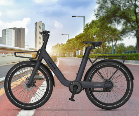 MS ENERGY CITYZEN C102 električno kolo, cestno / mestno, 24 x 3", 250W motor, 36V 9.6Ah 345Wh baterija, do 70km, mehanske disk zavore, vzmetne vilice, LED zaslon, sivo