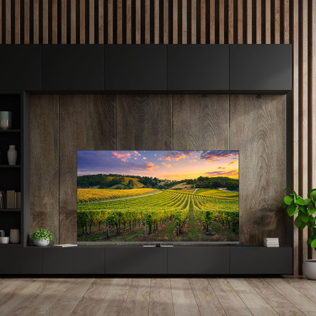 THOMSON 65QG5C14 QLED TV sprejemnik, 164cm (65"), 4K UHD, Google TV, WiFi, Bluetooth, HDR10, Dolby Atmos, Dolby Vision, Google Assistant, Chromecast, HOTEL Mode, vrtljivo stojalo, pametni daljinec