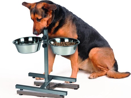 Pet Treatment dvojna posoda s stojalom za živali, 2x 2000ml, za hrano / vodo, nerjaveče jeklo, nastavljiva višina, protizdrsna, 44x40.5x27cm, siva, srebrna
