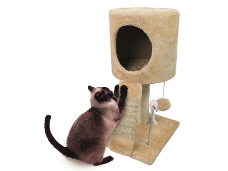 EOL - Praskalnik / počivalnik / mačje drevo COMFORT, 30x30x51cm